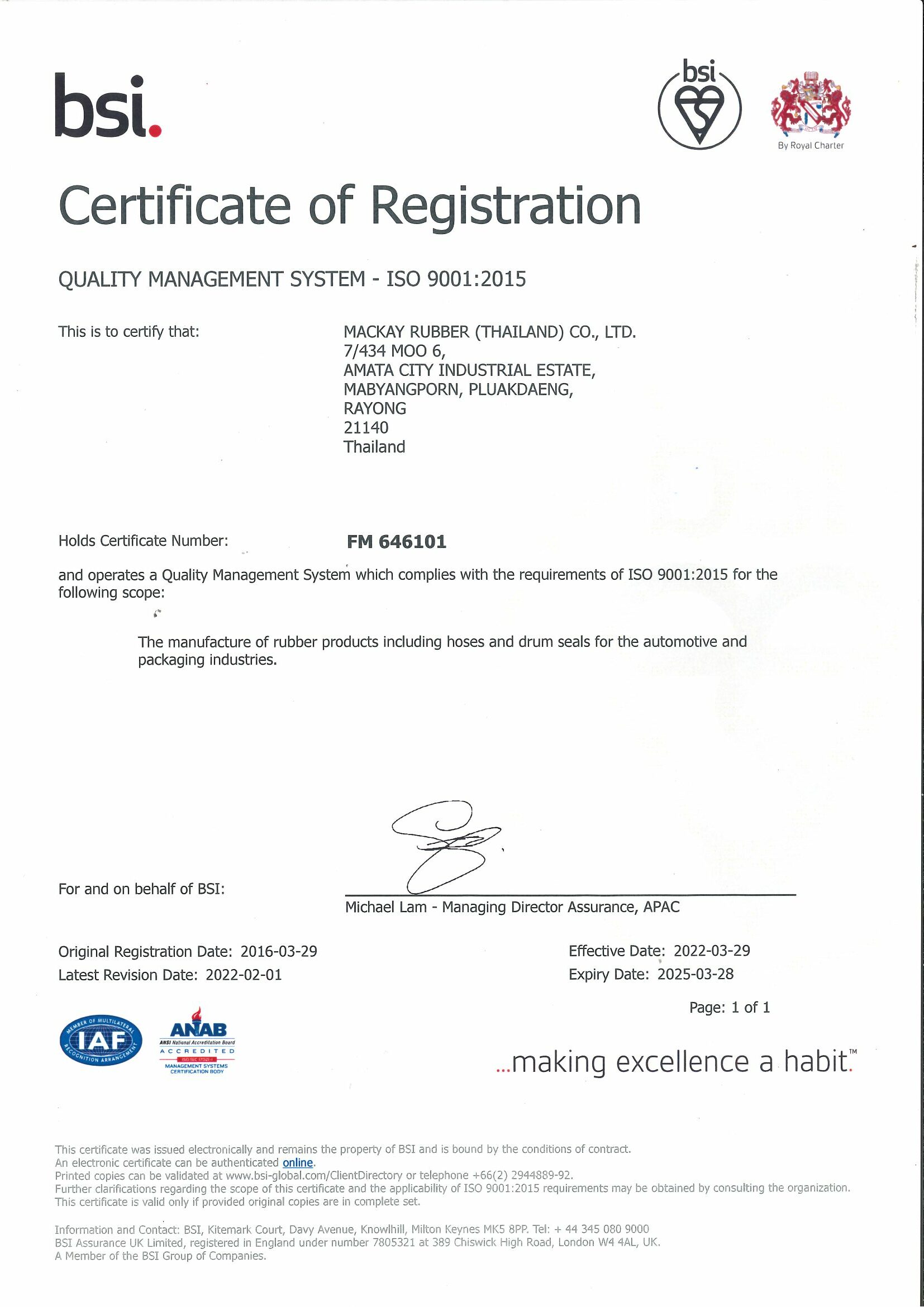 BSI-ISO9001-Certificate-of-Registration-FM-646101